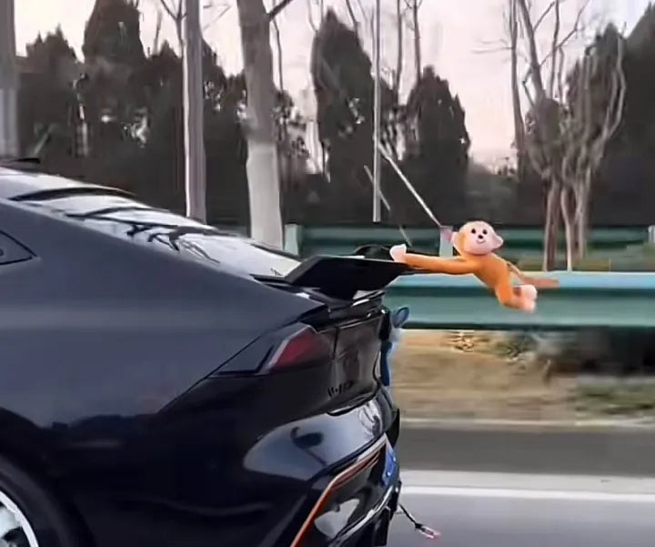 Long Arm Monkey Toy