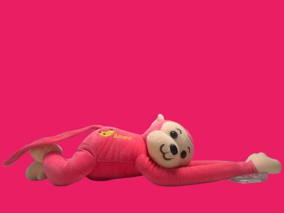 Long Arm Monkey Toy